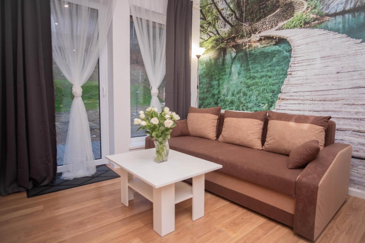 Apartamenty Goszowita Stronie Slaskie Exterior photo